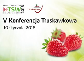 TSW 2018 i V Konferencja Truskawkowa – ważne informacje