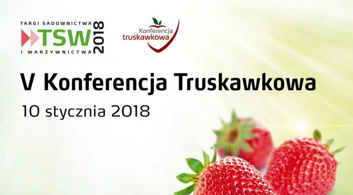 TSW 2018 i V Konferencja Truskawkowa – ważne informacje
