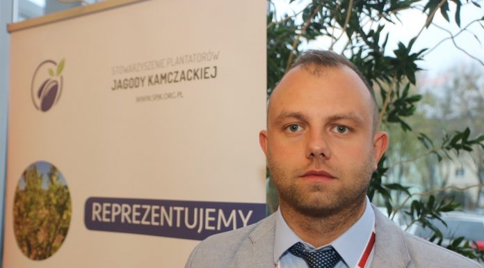Stowarzyszenie Plantatorów Jagody Kamczackiej – plany i wyzwania