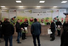Rozpoczęły się Targi Sadownictwa i Warzywnictwa. Dziś z Konferencją Truskawkową