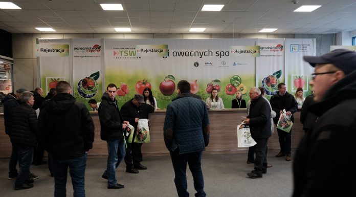 Rozpoczęły się Targi Sadownictwa i Warzywnictwa. Dziś z Konferencją Truskawkową