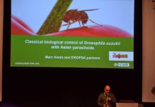 Jagodowy kongres w Holandii