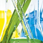 Green plants in laboratory equipment on white background