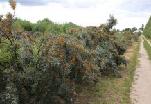 Konferencja Perspektywiczne gatunki sadownicze (Cz. 2)