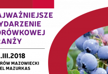 Międzynarodowa Konferencja Borówkowa 2018 i #borówkowe wyzwania