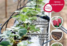 Jagodnik 2/2018 już w sprzedaży