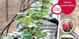 Jagodnik 2/2018 już w sprzedaży