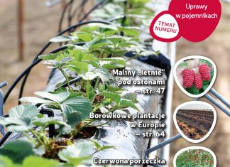 Jagodnik 2/2018 już w sprzedaży