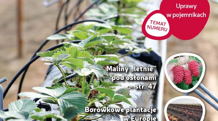 Jagodnik 2/2018 już w sprzedaży