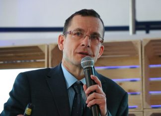 Konkurencyjność polskich malin