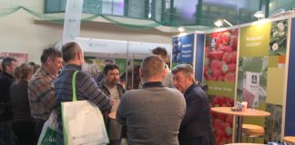 Jagodowe Trendy w Kraśniku (cz. I) – pomocne w uprawie