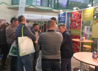 Jagodowe Trendy w Kraśniku (cz. I) – pomocne w uprawie