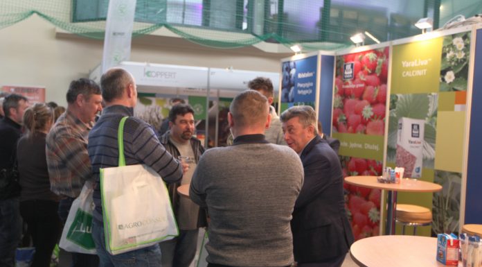 Jagodowe Trendy w Kraśniku (cz. I) – pomocne w uprawie