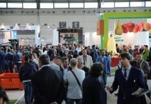 Macfrut – nowe możliwości dla zagranicznych kupców