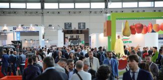 Macfrut – nowe możliwości dla zagranicznych kupców