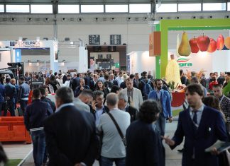 Macfrut – nowe możliwości dla zagranicznych kupców