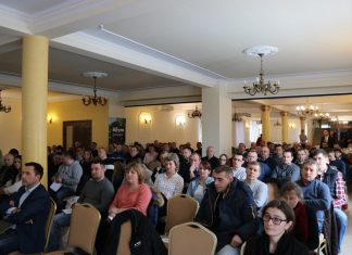 Wpływ jesiennej aury na plantacje truskawek