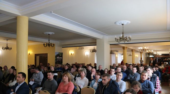 Wpływ jesiennej aury na plantacje truskawek