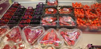 Warto się wyróżnić – Fruit Logistica 2018