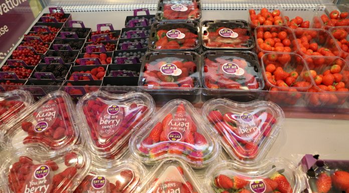 Warto się wyróżnić – Fruit Logistica 2018