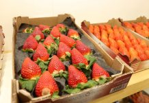 Globalny rynek truskawki: popyt przewyższa podaż