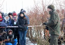 Cięcie borówki na Konferencji Borówkowej – odmładzanie krzewów