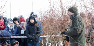 Cięcie borówki na Konferencji Borówkowej – odmładzanie krzewów