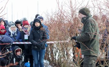 Cięcie borówki na Konferencji Borówkowej – odmładzanie krzewów