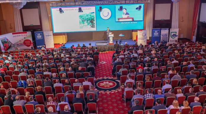 Konferencja Borówkowa i wyzwania dla całej branży. FILM