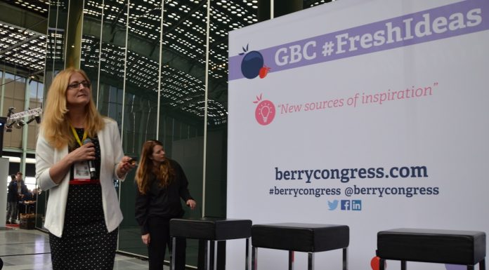 Czarna malina – czy warto się nią interesować?