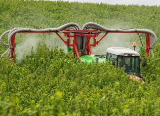 Innowacyjne i ekonomiczne rozwiązanie do ochrony plantacji