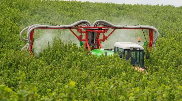 Innowacyjne i ekonomiczne rozwiązanie do ochrony plantacji