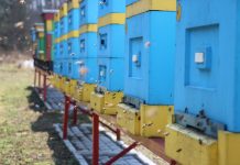 Stan pasiek przed sezonem