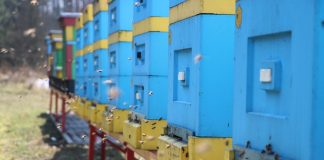 Stan pasiek przed sezonem