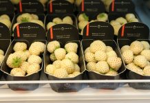 Pineberry – biała truskawka