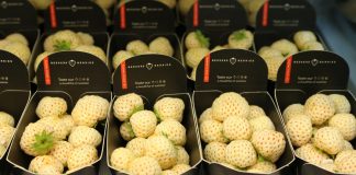 Pineberry – biała truskawka