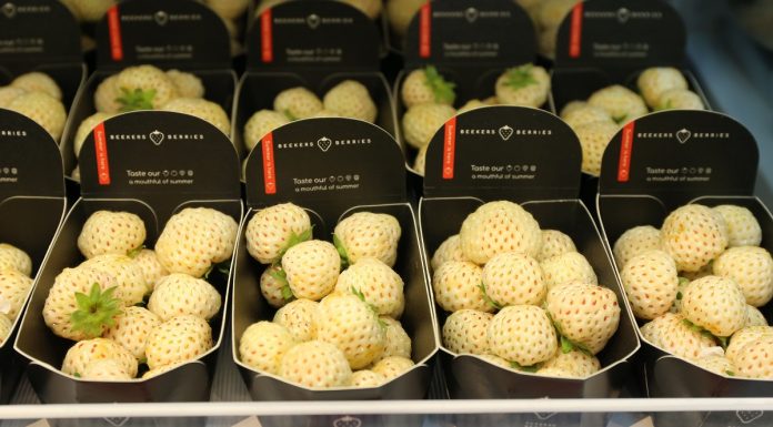 Pineberry – biała truskawka