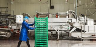 Skrzynki dla jagodowych