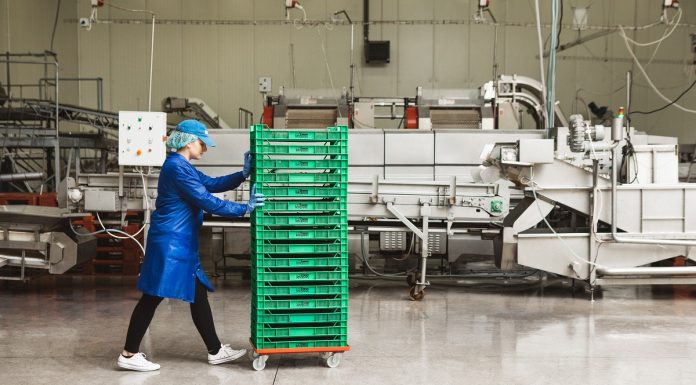 Skrzynki dla jagodowych