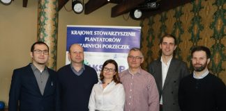 Rynek porzeczki czarnej i czerwonej