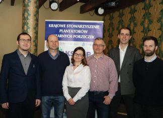 Rynek porzeczki czarnej i czerwonej