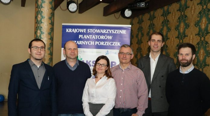 Rynek porzeczki czarnej i czerwonej