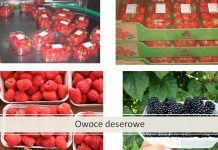 Truskawki i maliny, a wymagania rynku