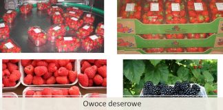 Truskawki i maliny, a wymagania rynku