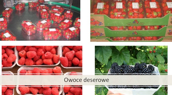 Truskawki i maliny, a wymagania rynku
