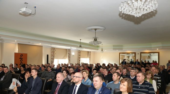 Ochrona truskawek przed mrozem