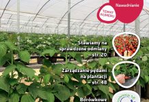 Jagodnik 4/2018 – już w sprzedaży