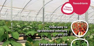 Jagodnik 4/2018 – już w sprzedaży