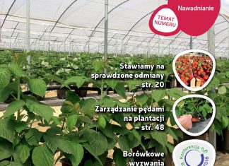 Jagodnik 4/2018 – już w sprzedaży
