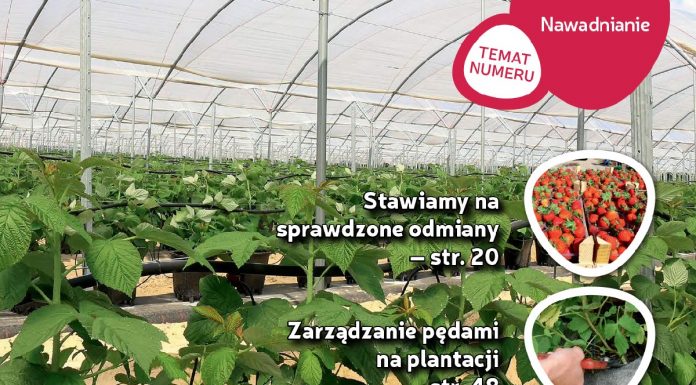 Jagodnik 4/2018 – już w sprzedaży